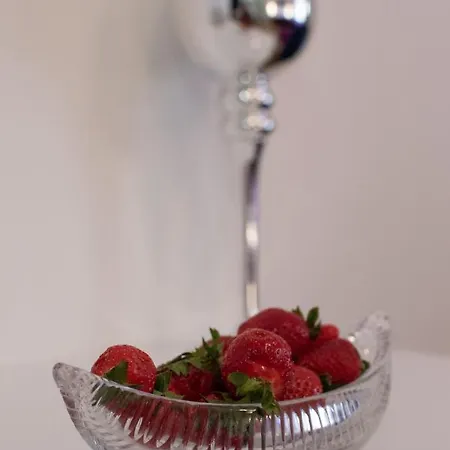 Center Luxury 2 4* ספליט